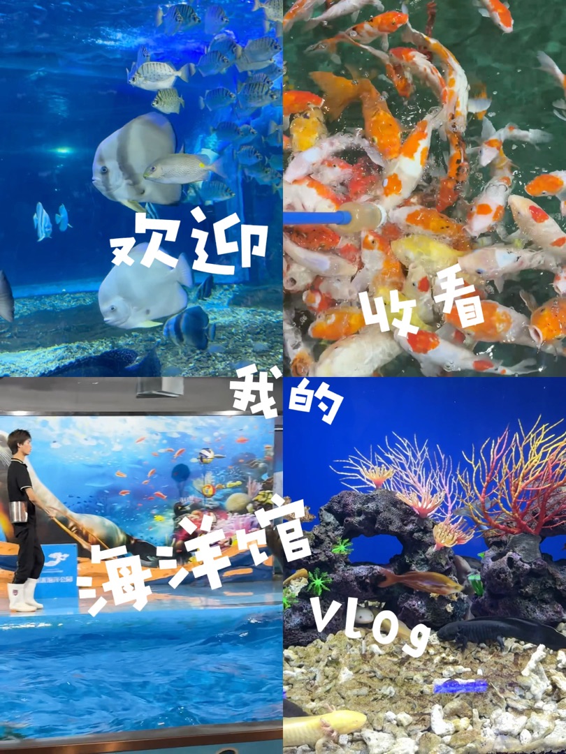 ÷Ϫ󹫈@gӭտҵĺ^һͬ÷Ϫ󹫈@޾ȥ÷ϪHȥ̎